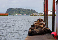 What are you looking at.jpg