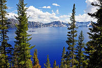 Lake through trees.jpg